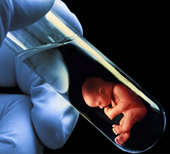 Serik kadın doğum uzmanı